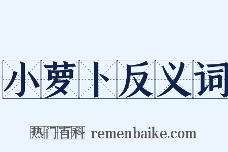 小萝卜反义词是什么意思的图片